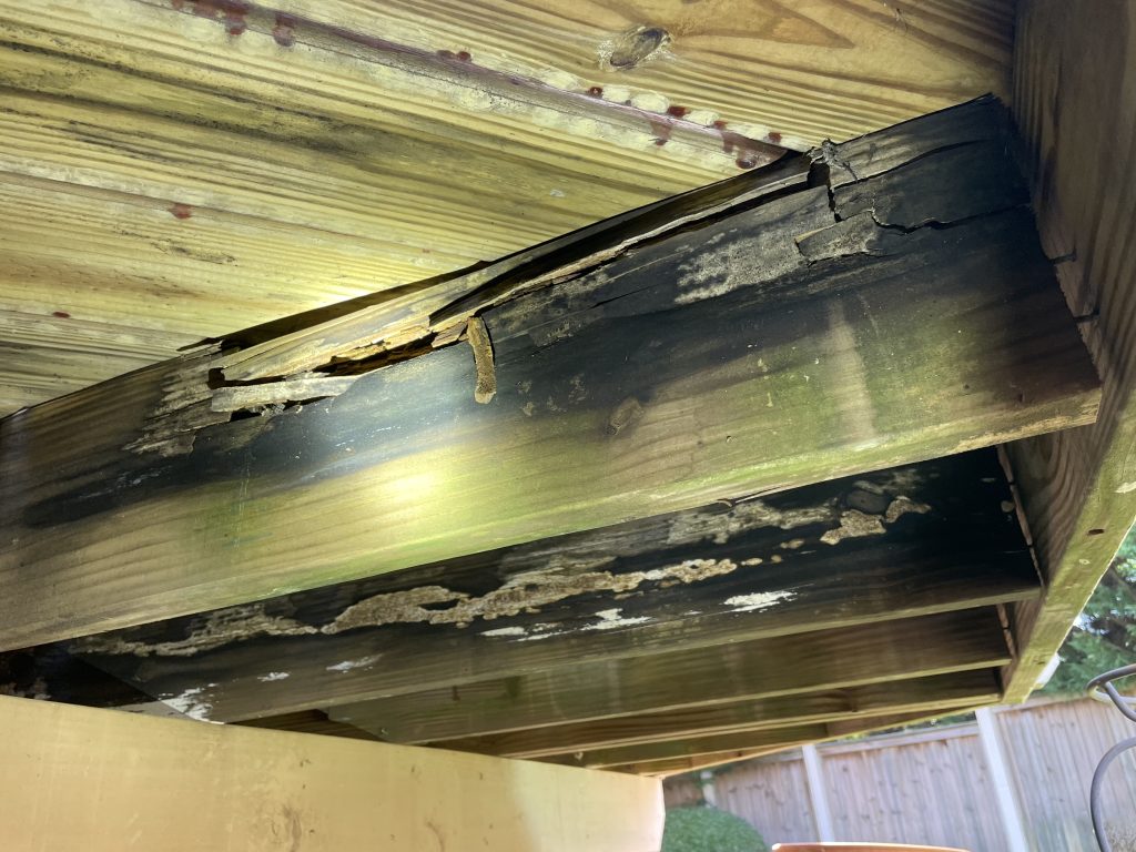 Dry Rot on a deck in the upstate of South Carolina