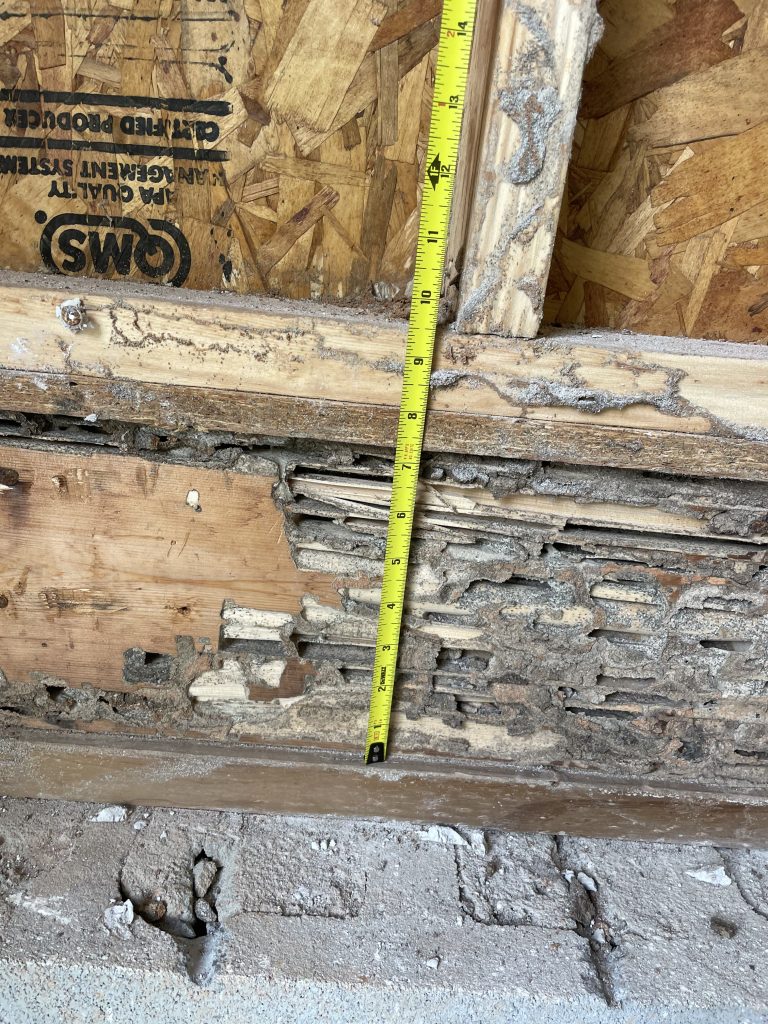 measured termite damage to a band on a garage wall taken by USR