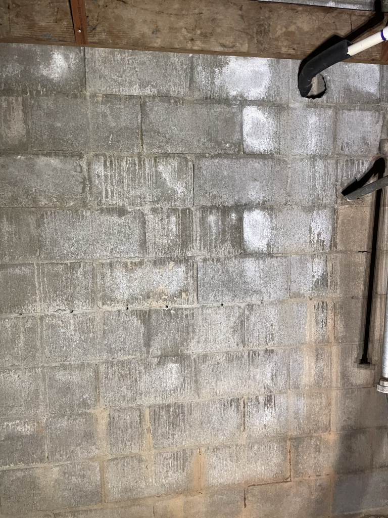 Efflorescence on a basement wall in Easley South Carolina